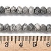 Natural Map Stone/Picasso Stone/Picasso Jasper Bead Strands G-D344-A18-6