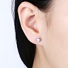 Exquisite 925 Sterling Silver Cubic Zirconia Stud Earrings EJEW-BB20071-2