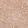 Transparent Glass Beads EGLA-M030-02A-NA01-2