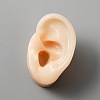 Silicone Ear Flexible Model Body Part Displays AJEW-WH0367-03A-1