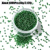 60G Glass Seed Beads SEED-YW0002-84B-1