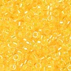 Glass Seed Beads X-SEED-S042-13A-03-3