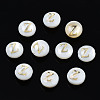 Natural Freshwater Shell Beads X-SHEL-S278-036Z-1