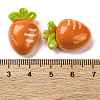 Resin Cabochons X1-CRES-Z010-03E-3