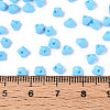 Baking Paint Glass Seed Beads SEED-N007-30A-4