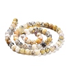 Natural African Opal Beads Strands G-B048-B03-01-4