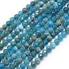 Natural Apatite Beads Strands G-E411-36-2mm-1