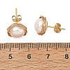 Natural Cultured Freshwater Pearl Stud Earrings EJEW-JE07379-5