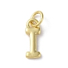 Rack Plating Brass Charms KK-P245-06G-I-1