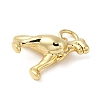 Rack Plating Brass Charms KK-G476-01G-2
