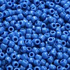 TOHO 6/0 Round Beads SEED-TR06-0043D-4