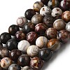 Natural Mexico Crazy Agate Beads Strands G-L615-A01-04-3
