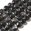 Natural Larvikite Beads Strands G-R190-10mm-55-2