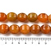 Dyed Natural Agate Beads Strands G-H087-E01-01C-5