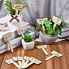 2 Bags Wooden Plant Labels DIY-CP0012-70-3
