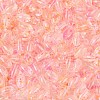 Baking Paint Transparent Glass Beads DGLA-T004-06H-2