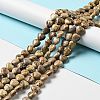 Natural Picture Jasper Beads Strands G-B022-14C-2