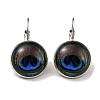 Eye Glass Leverback Earrings with Brass Earring Pins EJEW-Q798-01S-1