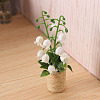 Platic Miniature Ornaments LS-PW-WG36445-01-4