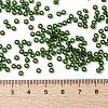 MIYUKI Round Rocailles Beads X-SEED-G008-RR0158-4