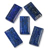 Dyed Natural Lapis Lazuli Pendants G-G123-03B-1