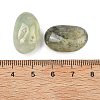 Grade A Natural Prehnite Beads G-G348-01A-22-3