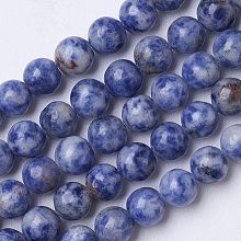 Natural Blue Spot Jasper Beads Strands G-D855-10-8mm