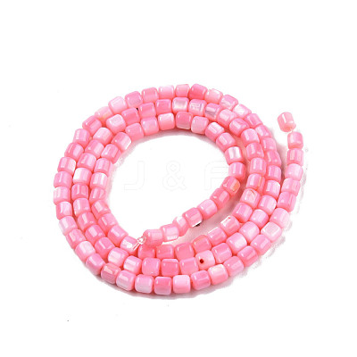 Natural Freshwater Shell Beads Strands SHEL-N003-33-A09-1