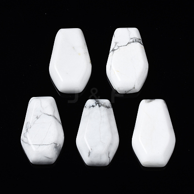 Natural Howlite Cabochons G-N336-001E-1