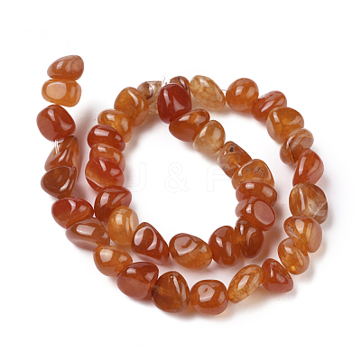 Natural Agate Beads Strands G-L560-M10-1