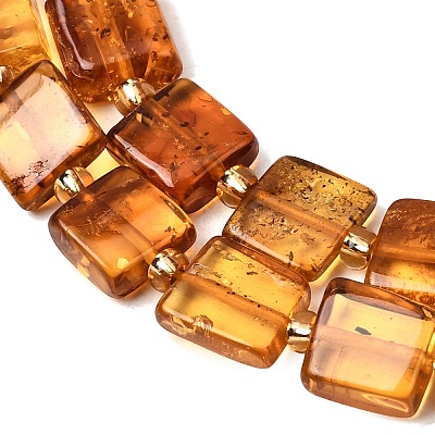 Natural Amber Beads Strands G-C260-A01-06-1