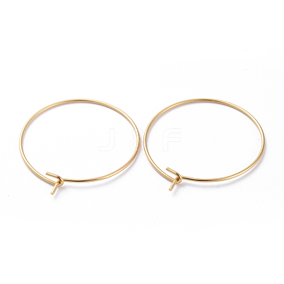 316 Surgical Stainless Steel Hoop Earring Findings X-STAS-J025-01C-G-1