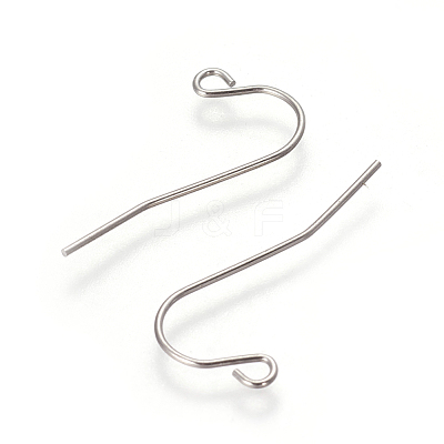 Tarnish Resistant 304 Stainless Steel Earring Hooks STAS-I101-55P-1