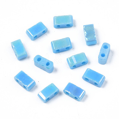 2-Hole Opaque Glass Seed Beads LS-SEED-N004-002-B01-1