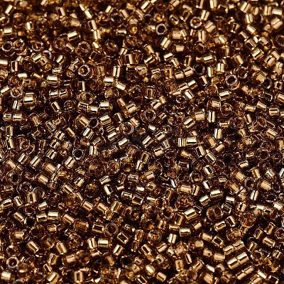 MIYUKI Delica Beads X-SEED-J020-DB2524-1