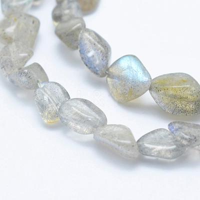 Natural Labradorite Beads Strands G-K203-12-1