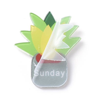 Fridge Magnets Acrylic Decorations AJEW-X0009-04-1