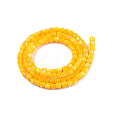 Natural Freshwater Shell Beads Strands SHEL-N003-33-A08-1