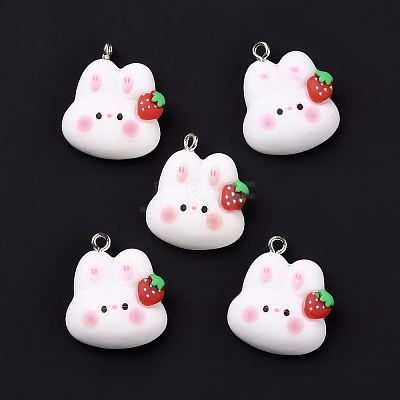 Resin Pendants X-RESI-M026-09-1