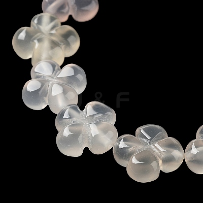 Natural White Agate Beads Strands G-P520-A01-01-1