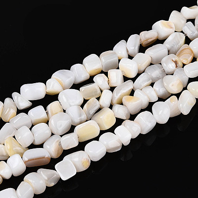 Natural Freshwater Shell Beads Strands SHEL-N038-06A-1