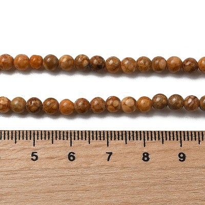 Natural Maifanite/Maifan Stone Beads Strands G-P451-01C-B-1