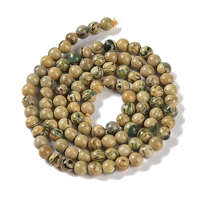 Natural Verdite Stone Beads Strands G-P530-B07-01-1