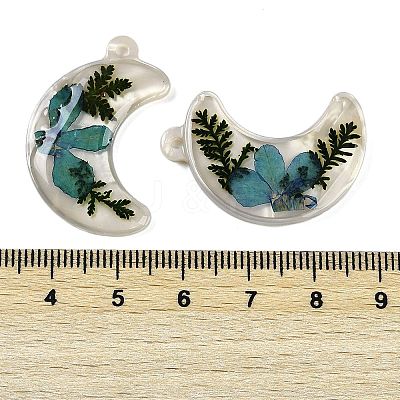 Epoxy Resin Pendants RESI-S09-01A-RS-1
