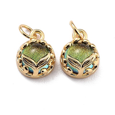 Eco-Friendly Brass Charms KK-H762-02G-1