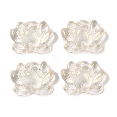 Baking Paint Glass Beads GLAA-S202-13F-1