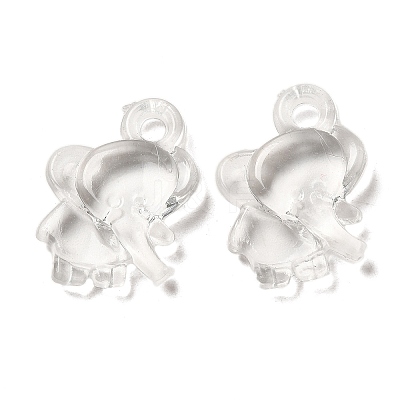 Transparent Acrylic Pendants TACR-G048-31-1