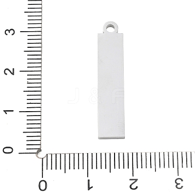 304 Stainless Steel Pendants SA-CBAE115-13B-P-1
