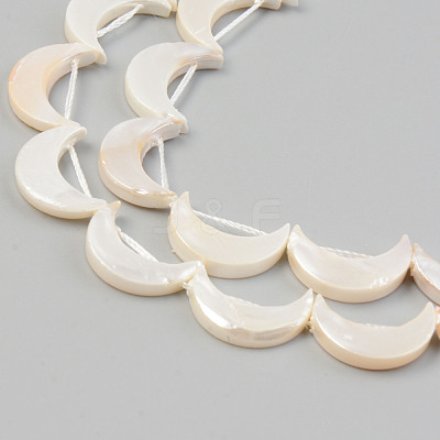 Electroplate Natural Freshwater Shell Beads Strands SHEL-T017-16D-1