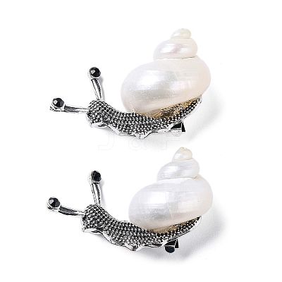 Snail White Natural Conch Shell Fossil Brooch Pin JEWB-A020-01AS-02-1